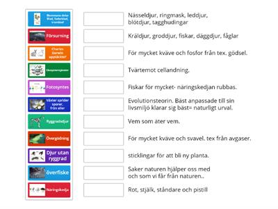 Biologi åk 5