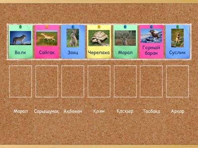 Сопоставь животных с их названиями