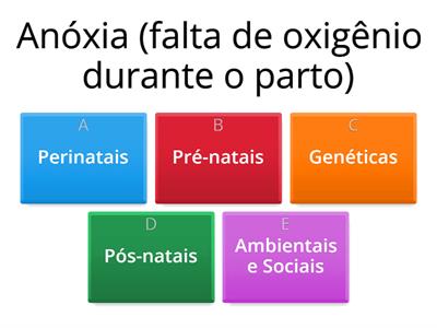 E.E. Muniz Falção CAUSAS DA  DEFICIÊNCIA INTELECTUAL 