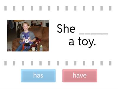 HAS or HAVE Homework