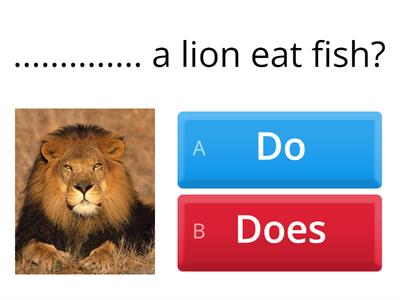 Do - Does - Don't - Doing- Done