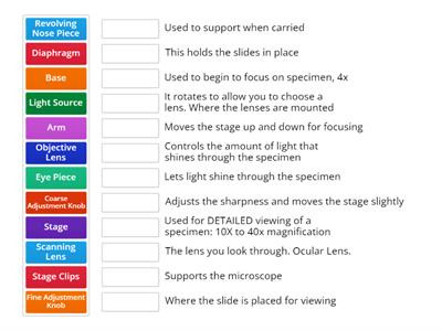 Parts of a Microscope Functions