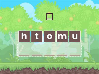 Grade 4 Wordlist 3-4 (2学期2025)