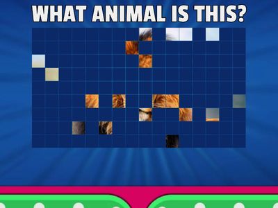 3º PRIMARIA ANIMALS