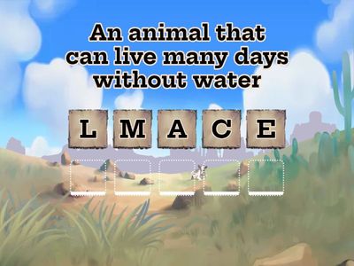 The Wild Cipher Chronicles