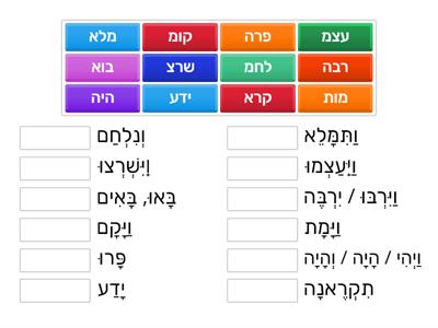 שמות פרק א Shorashim Identification