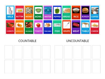  UNCOUNTABLE AND COUNTABLE NOUNS