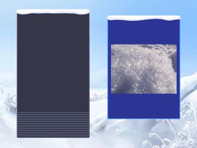 ЗВУК: НОВЫЙ ГОД (лексика)