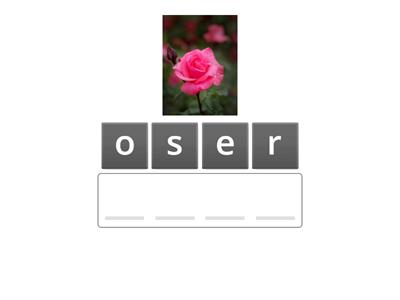 тренажер по чтению урок 12