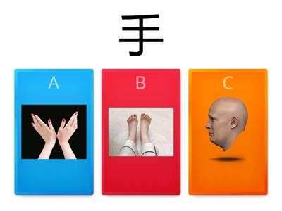 身体部位