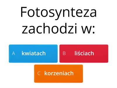 Liść  - wytwórnia pokarmu 