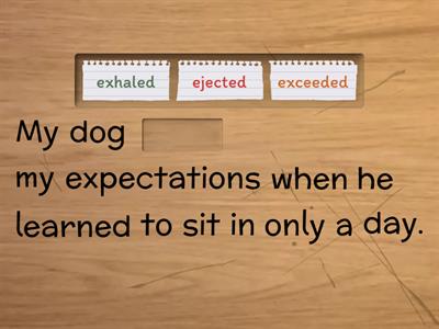 Prefix e/ex Sentences