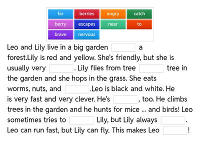 Leo and Lily's adventure