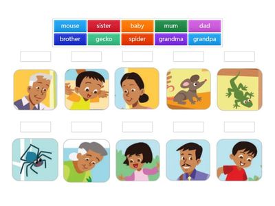 Cambridge Primary Unit 2 My family 