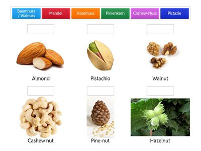 Hartschalenobst /Shell fruits Deutsch/Englisch