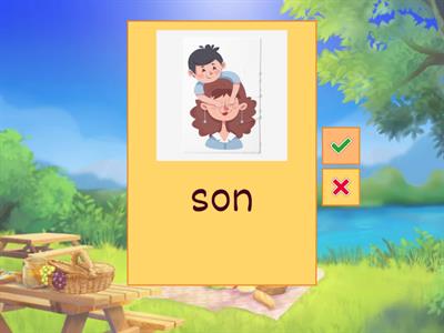 Family - flashcards