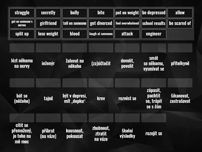 Bloggers 4 Unit 2C + 2D (1) - Vocabulary (match-up)