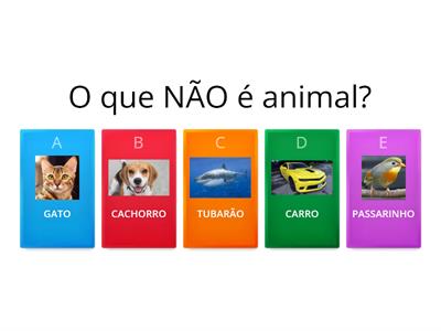 Qual é o intruso??