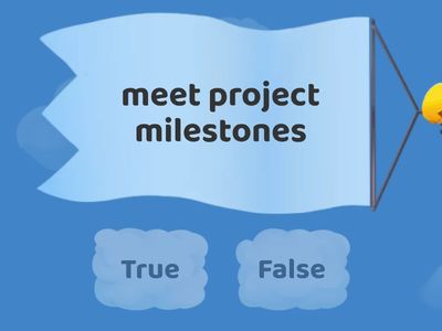 Project Management Collocations (C1)