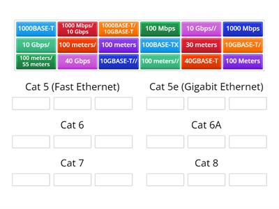 Cat cables