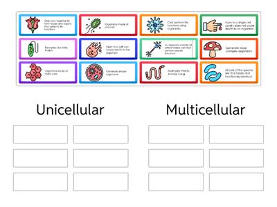 Characteristics of Unicellular Vs Multicellular Organisms