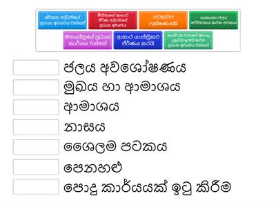 Grade 7 - Science - Game 2