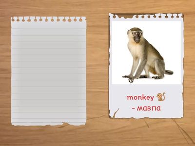 Words with letter Mm / Grade 1