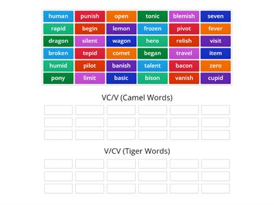 VC/V or V/CV