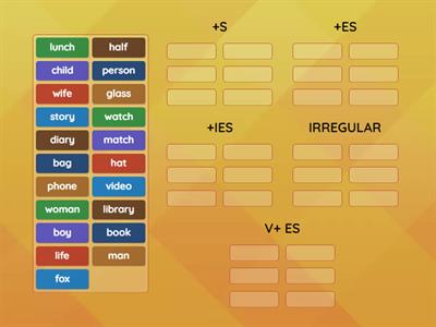 Plurals Life Vision A1/A2