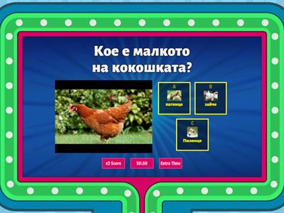 Малките на животните, първа група