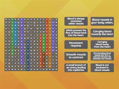 Transport in mammals - Wordsearch 