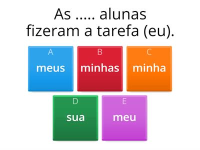 Pronomes possessivos