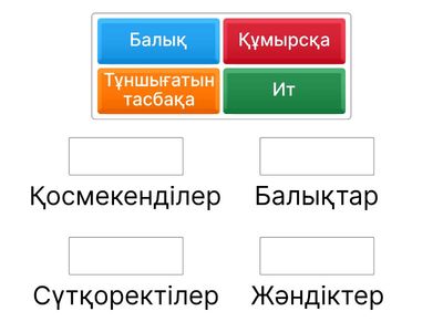 Без Названия1
