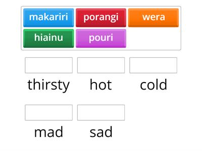 Te Reo Māori Feelings