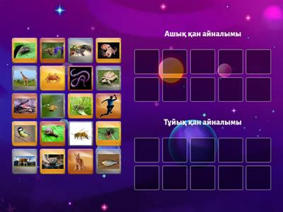 Ашық және жабық қан айналымы