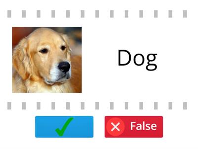 Kids box review animals