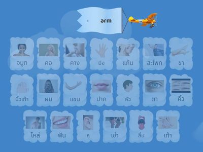 Body Part - Pictionary