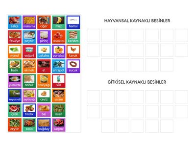 hayvansal ve bitkisel besinler