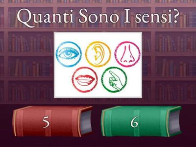 fatto da emily franzosi