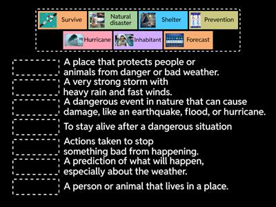 Term 2 Exam Vocabulary: Environment
