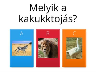 Kakukktojás