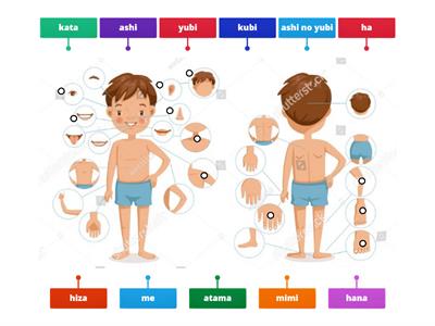 Body Parts Labelling - Japanese words