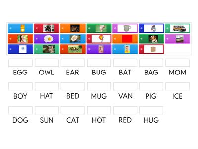 Three letter words - Reading - young learners