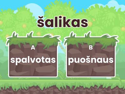 daiktavardis + būdvardis