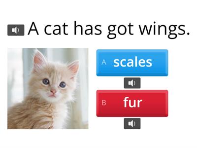 Correct the sentences. 