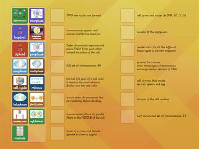11.6 Cell Growth and Reproduction