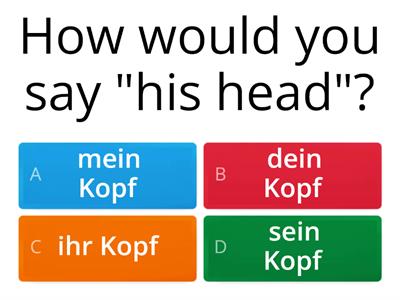 3YGerman Possessive Adjectives + Body