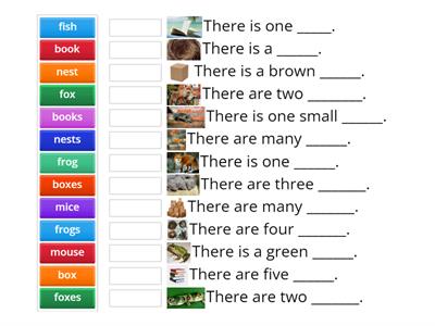 Plural Nouns