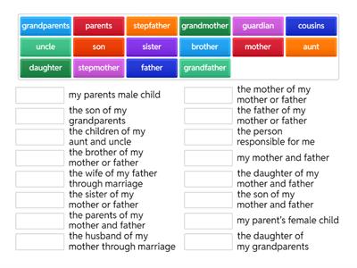 Unit 6 - Family Vocabulary - Newcomer