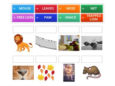 The Lion and the Mouse - Vocabulary